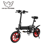 Wind Horse Folding Electric Bike, C19