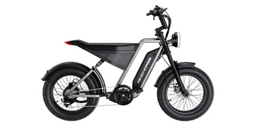 Electric Scooters