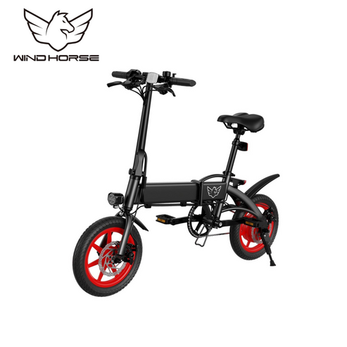 Wind Horse Folding Electric Bike, C19
