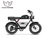 Wind Horse D5 Electric Bike, D5