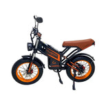 Kugoo Electric Scooter 750W 55KM Range 75KM Speed, V5