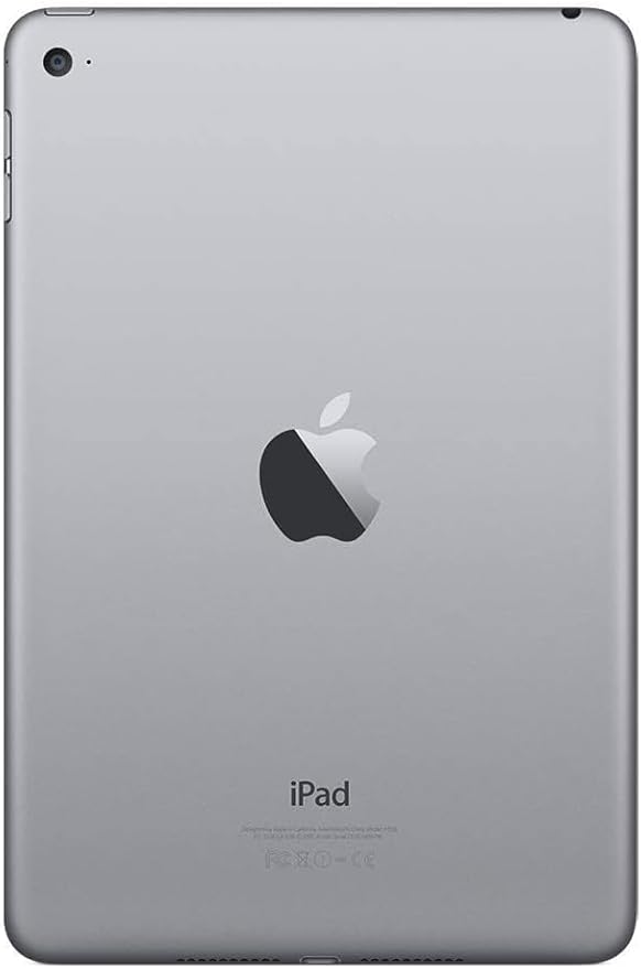 iPad Mini 4 Back View UAE