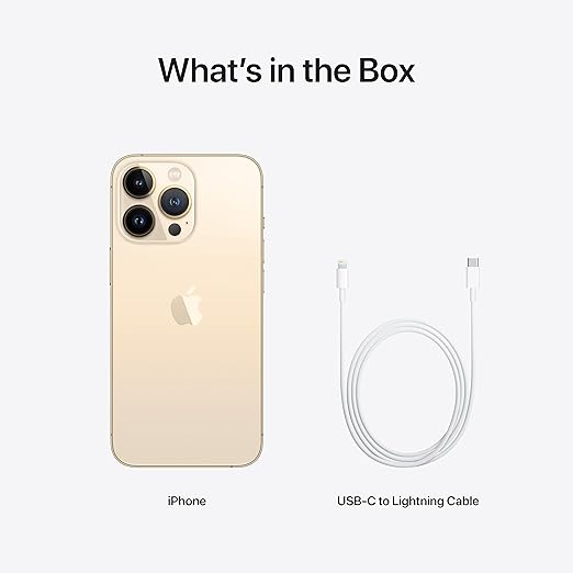 iPhone 13 Pro Max Gold Back View UAE