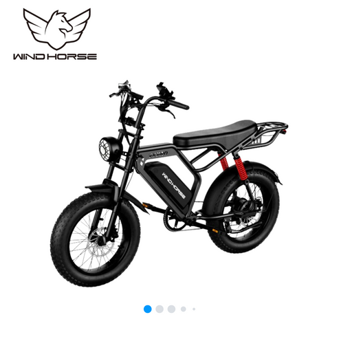 Wind Horse V8 Pro Electric Bike, V8 Pro